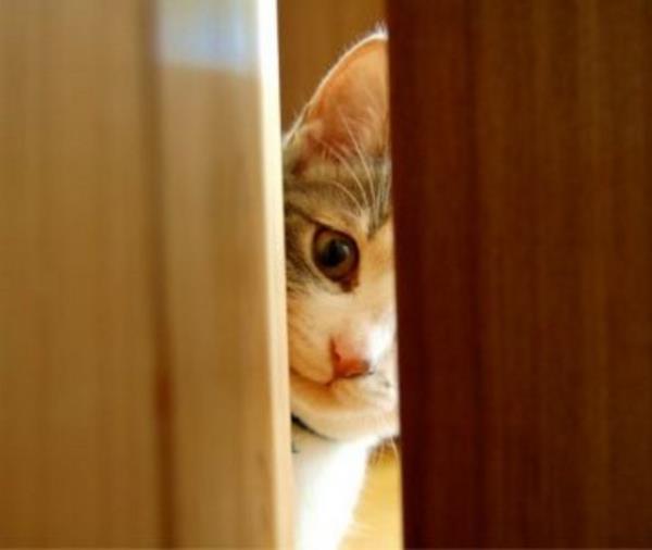 GZL BR YER KEFETMEK: Beklenmedik olaylar, srprizleri ve gizemi iaret eder!