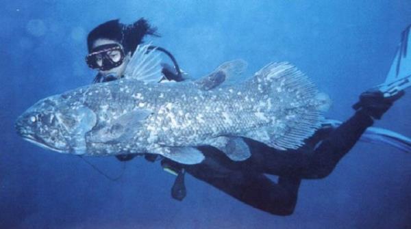 BALIKLARLA YZDN GRMEK: Her zaman hayra yorulan, gzel bir ryadr! Berekettir!