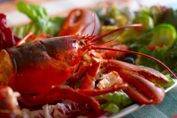 Eskiden, en fakirler ve kleler stakozla beslenirmi. Fare yemekle e deer tutuluyormu. imdiyse en sosyete yemeklerden...