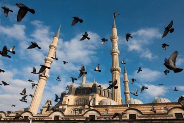 Mark Edward Harris - Edirne