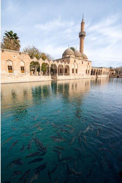 Mark Edward Harris - Urfa