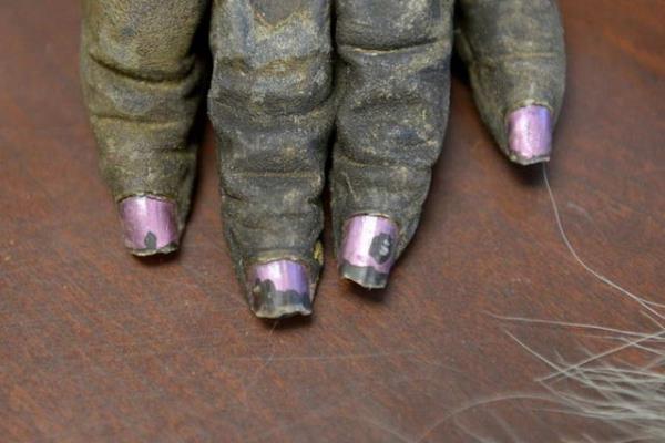 ABD'de, Balk ve Vahi Yaam Servisi, bir gorile yontma manikr ad verilen bir yntem ile manikr yaplm.