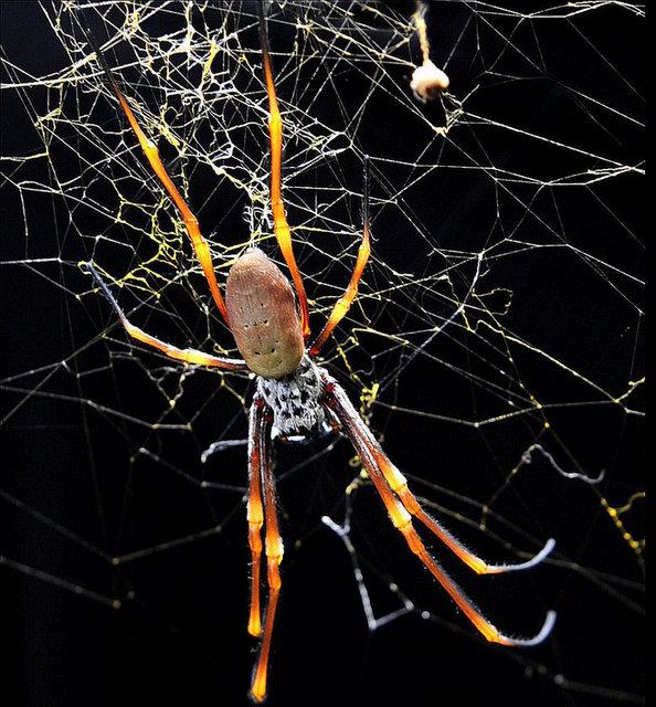 "Havada uuan tm nesnelerde statik elektrik bulunur. Bir uak bile gkyznde uarken, etraf ne kadar bo grnrse grnsn, zeri havadaki nesnelerden uuan statik elektrikle kaplanmaya balar."