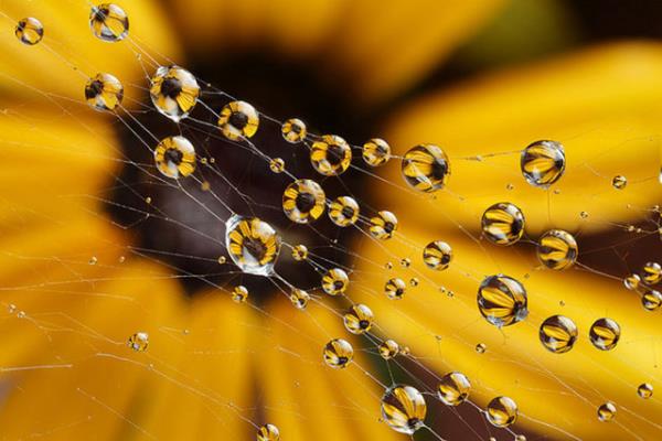 "Bu da bir risk oluturur. rnein helikopterler, ini yaparken zerlerindeki statik elektrii aniden boaltrlarsa havaya uarlar."