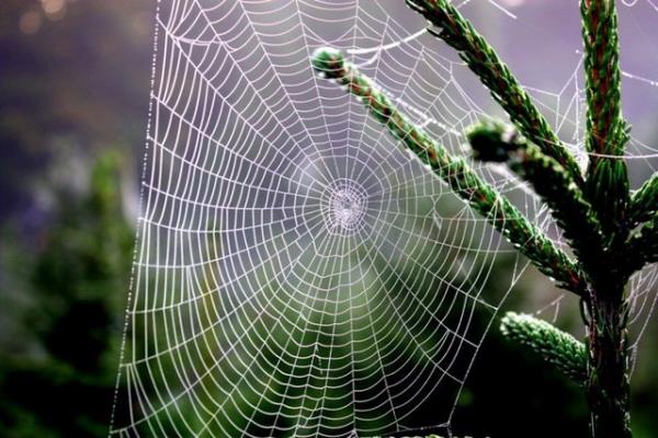 Havada uuan her eyin elektrikle ykl olduunu vurgulayan Kanay, fizik kurallarna gre, bir maddenin dier maddeye yapabilmesi iin zt kutuplar olmas gerektiini syledi.