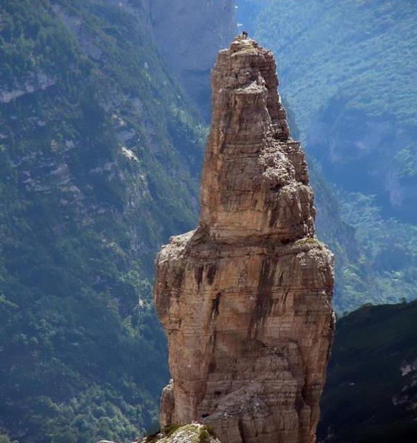 Keilerdeki ykseklik zlemi genellikle kendini korumas ile ilgilidir. Bylece yksee trmanamayan yrtc hayvanlardan korunmu olurlar.