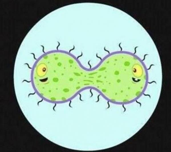 Blme ve arpmann e deer olduu tek bilim dal biyolojidir.