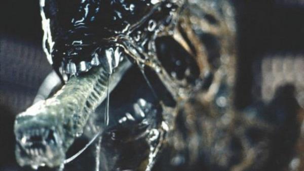 inden kan yaratk kurbann suratna yapr ve boazna soktuu tpten Xenemorph embriyosunu brakr. Xenomorph bir sre kurbann gs boluunda bydkten sonra kurban ieriden paralayarak darya kar...