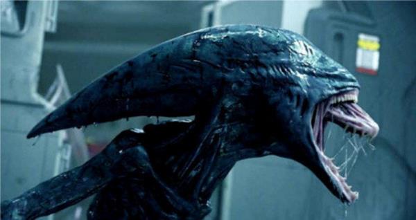 Ve dnyaya merhaba der. Hzl geliimi sayesinde devasa boyutlara ulaan Xenomorph'un dileri, kuyruklar ve peneleri en gl silahlardr.