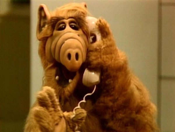 Alf
