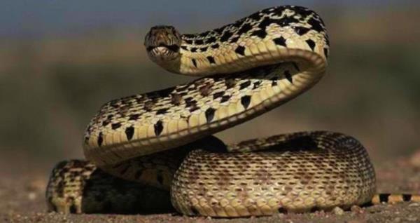 <p><b>4- Ylanlar</b></p>   Ylda 50000 lm