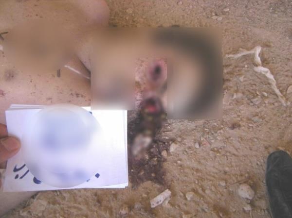 Anadolu Ajans, daha nce yaynlanan Suriye'de sava suu belgelerinin benzerlerine ulat.