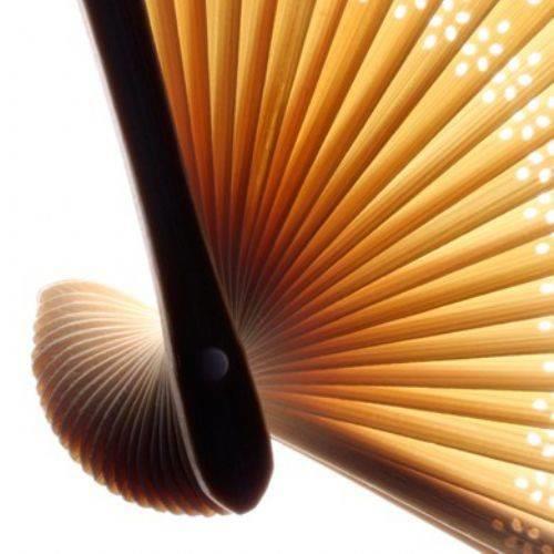 Neredeyse ayn anda tm dnyaya bir yerden ilham geldi ve yelpaze icat oldu.Uzun dnemlerce stat sembol olan yelpaze hl en basit serinleme arac.