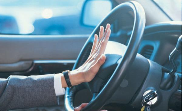 1. Evlilik ya da snnet gibi, dzenleyenler iin nemli ama bizi hi ilgilendirmeyen durumlarda arabalarnn kornalarn avaz avaz bartp grlt yapanlar.