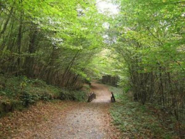 Polonezky'de doa yry yapmak