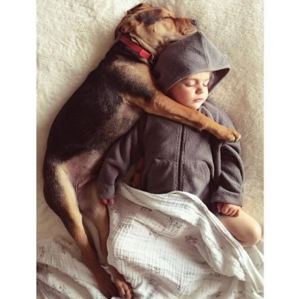 Instagram'n anneleri gerekten yaratc. Jessica Shyba isimli anne, olu Beau ve 7 haftalk kpekleri Theo'nun uyku anlarn "Theo ve Beau in Uyku Vakti" isimli almasyla instagram'da paylayor. O kadar popler olmu ki, ektii fotoraflardan bir kitap teklifi bile alm!