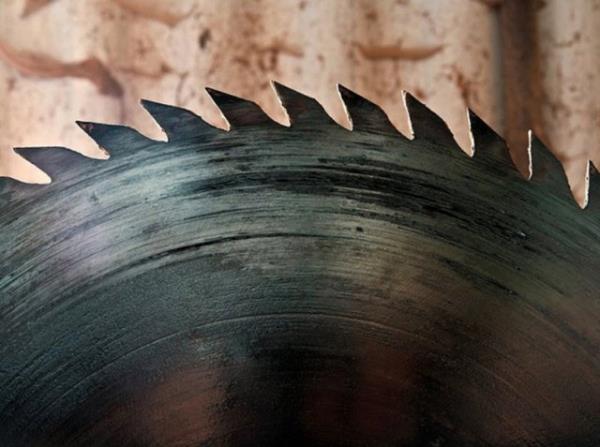 Tabitha Babbitt: Testere'yi icat etmi