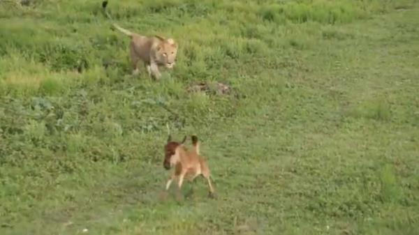 O andan sonra yaanlara grnty ekenler bile inanamyor..