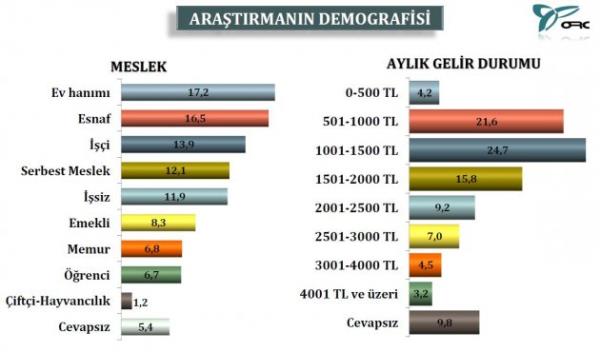 Aratrmann demografisinde meslek grubunda en ok ev hanm olduu grld.