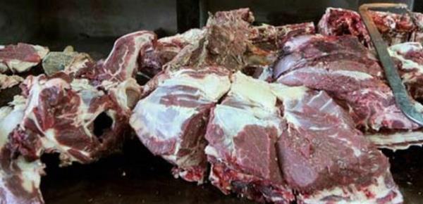 1998'de ikinci lig ekibi Jiul Petrosani'de forma giyen Romen orta saha oyuncusu Ion Radu, Valcea takmna 500 kilo et karlnda satld.