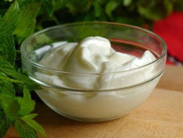 Yourt ayn zamanda bulac hastalklarn tedavisinde de olduka neme sahiptir.