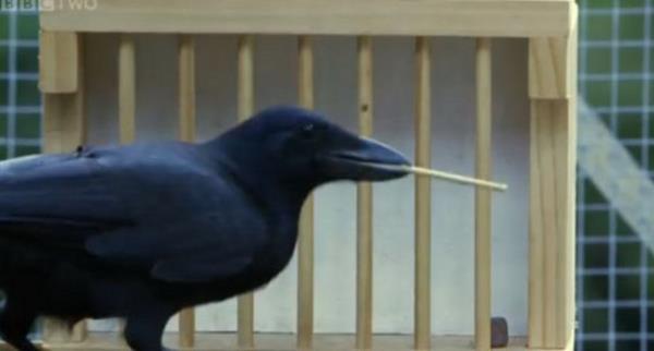 Ayn yntemi tek tek deniyor ve kutulardaki tm arlklar topluyor.