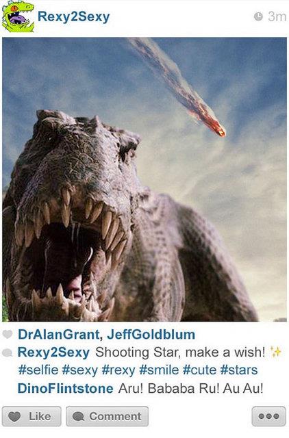 13. Yldz kayyor bir dilek tut