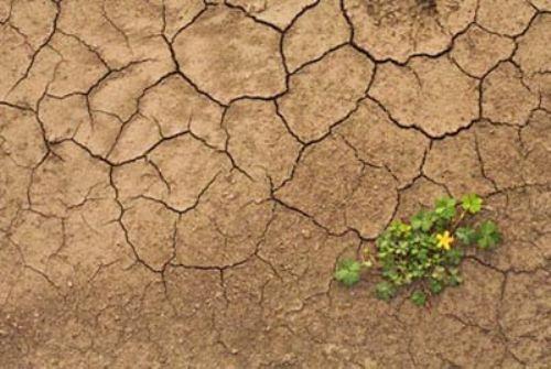 5- "Kim hakk olmad halde bakasna ait bir toprak parasn gasp ederse kyamet gn o yerin yedi kat topra o kiinin srtna yklenir ." [Buhr, Mezlim, B.13, Bed'l- Halk, B.2; Ahmed b. Hanbel, Msned, II, 99)]