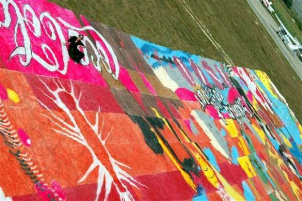 T�rkiye genelindeki 9 �niversiteden 580 ��renci taraf�ndan yap�lan 760.28 metrekarelik dev grafiti, onaylanarak Guinness Rekorlar Kitab�'na girmeye hak kazand�.