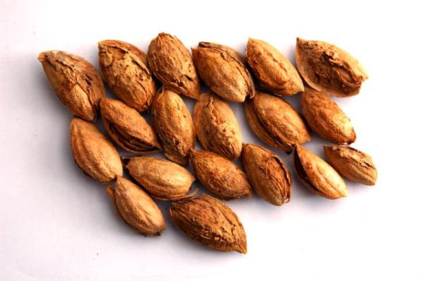 <p><b>5) BADEM YYN </b></p>  Beslenme uzmanlar az miktarlarda badem ve ceviz tketmenin yararl olduunu belirtiyor. Cannz attrmalk bir eyler yemek istediinde ok arya kamadan badem, ceviz ya da fndk tketebilirsiniz. Bu kuruyemiler kalori ierdii iin yerken dikkatli olunmas art. Bademde bulunan iyi yalar, ya yakma genlerini harekete geirir ve kilo vermenize yardmc olur.