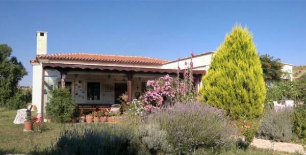 BAHE: Gkdelenlerle betonlaan ehirlerden yeil ehirlere gei iin baheli ev yapanlara devlet destei verilecek.