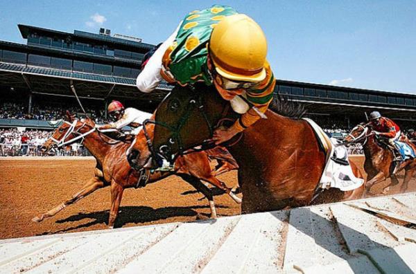 Jokey Julien Leparoux'un, at Sanibel Storm'un kaza geirdii pozisyonda tutunmaya alt an... Bu kazay at da jokey de sakatlanmadan atlatt.
