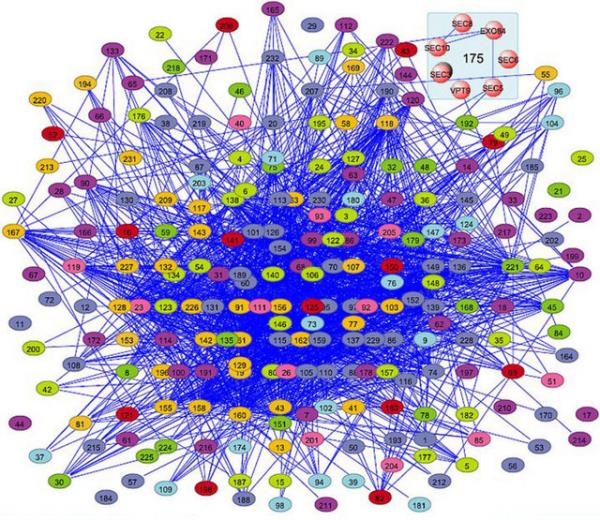 36. Bilmece gibi �ifreli konu�an k�zlardan.