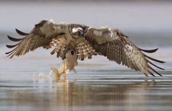 Fotoraflar hereyi anlatmaya yetti de arttt bile...