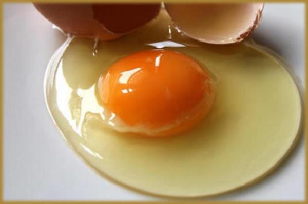 Kayplar nlemek iin yumurtay yaa krma yerine, dier yntemler ile piirme tercih edilmelidir.