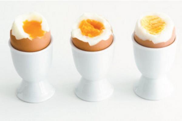 Kaliteli bir protein kaynadr Yumurtann iindeki proteinlerin tamam vcudumuz tarafndan sindirilip kullanlabilir.