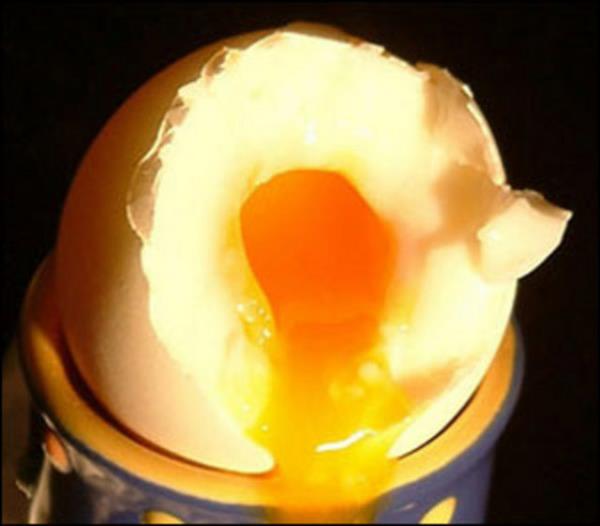 Sporcularn kulland baz protein takviyelerinin yumurta beyazndan yaplmas bouna deildir.