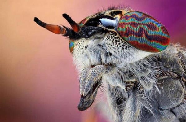 Beno, her bcein ayr bir dnyadan gelmi gibi grndn, ama dier yandan hepsinin ayr bir gzellii olduunu anlatyor.