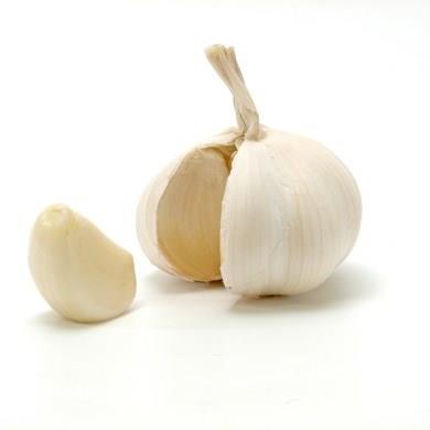 Anti bakteriyel olan sarmsa, biraz tuz ile ezerek kartrn. Aryan blgeye uygulayn.