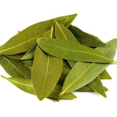 Scak suya defneyapra ekleyin ve demleyin. Biraz lndnda gargara yapn.