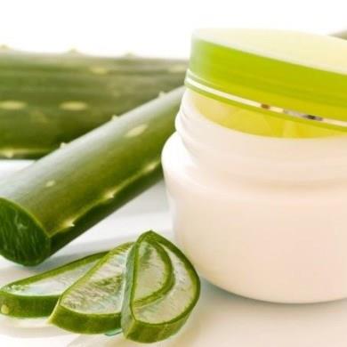 Son yllarda kullanm ok yaygnlaan aloe vera jel, dietlerini uyumasna ve azda tkrk artna neden olur. Ayrca kt nefesten kurtulmanz salar.