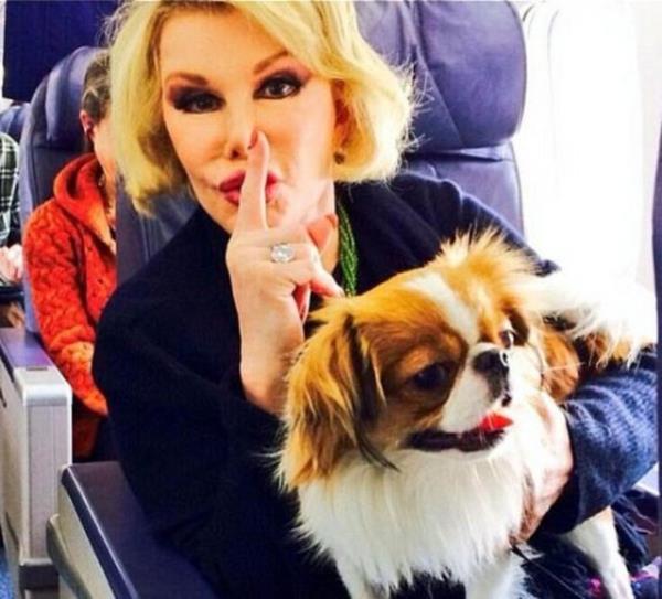 Joan Rivers da estetikten yzn oynatamaz hale geldi.