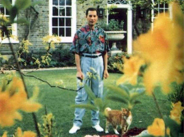 Freddie Mercury'nin son karesi. AIDS'ten kaynaklanan zatrre sonucu 1991'de lmeden nce ekilen son fotoraf.