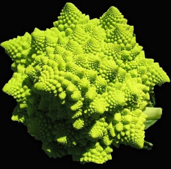 erdii youn antioksidanlarla sala da olduka faydal.