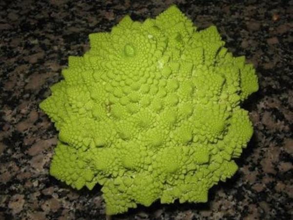Eer bu iki sebzeyi seviyorsanz, eminiz ki "romanescu" isimli bu sebzeyi de seversiniz.