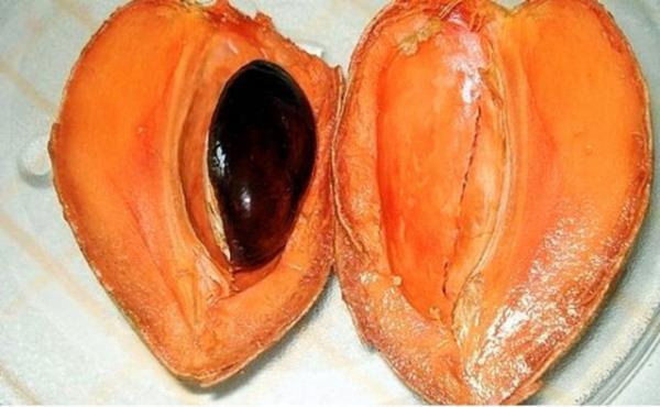 <p><b>Mammee</b></p>  Jamaika'da olduka popler olan bu meyve zannediyoruz mango ve eftalinin bir gecelik ak sonucu meydana gelmi. Ama ne hikmetse Jamaikallar ona Amerika Kayss diyor.