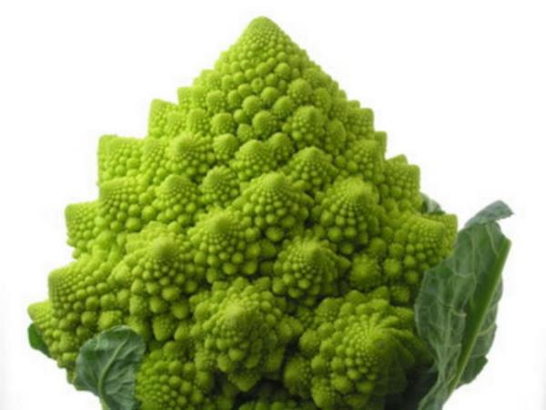 <p><b>Dier ilgin meyveler</b></p>    Romanescu: Karnbahara benzeyen bu bitki brokoliyi de andryor.