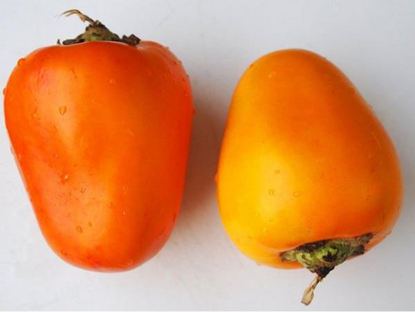 <p><b>Cocona</b></p>  Bu meyve Gney Amerika'da yetiiyor ve tad limon ile domates arasnda. Yani isterseniz salataya dorayabilirsiniz.