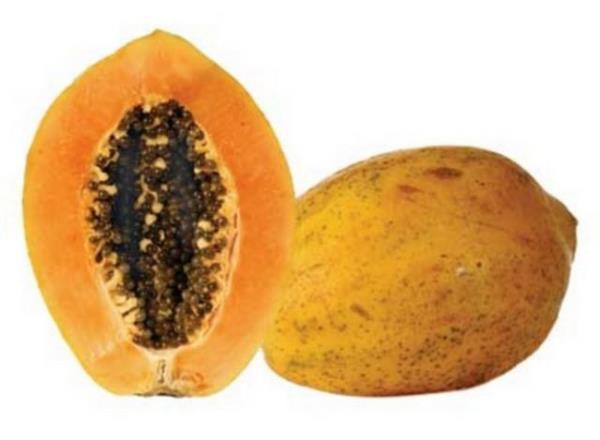 Fakir adam muzu olarak da bilinen bu meyve ABD'nin kuzeyinde yetiiyor.