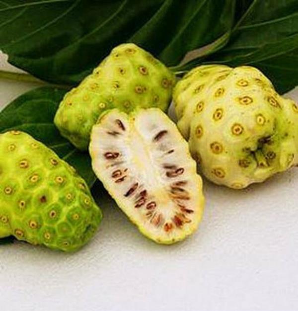<p><b>Noni</b></p>  Gneydou Asya ve Avustralya'da yetien Noni grnt olarak duta benziyor. Meyvenin ar bir kokusu ve keskin bir tad var.